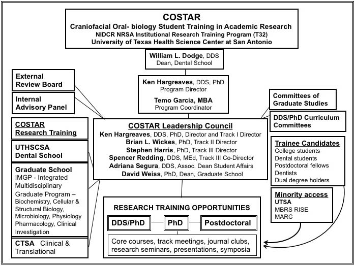 COSTAR organizational chart